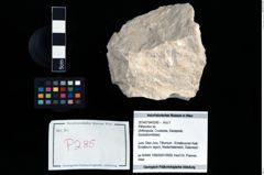 Foto (Objekt + Etikett) von Pithonoton sp.  (NHMW-GEO-2014-0194-0285)